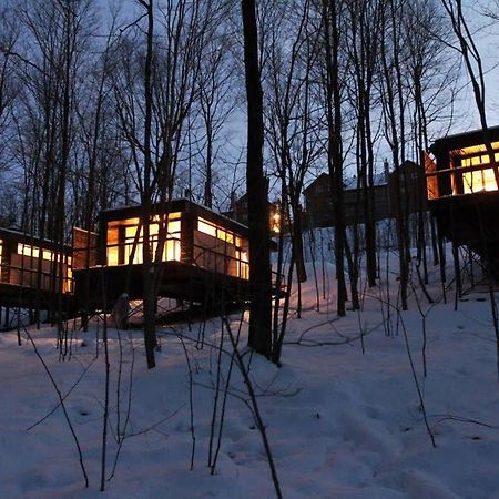فيلا Cabin Sutton 252 - En Harmonie Avec La Nature! المظهر الخارجي الصورة